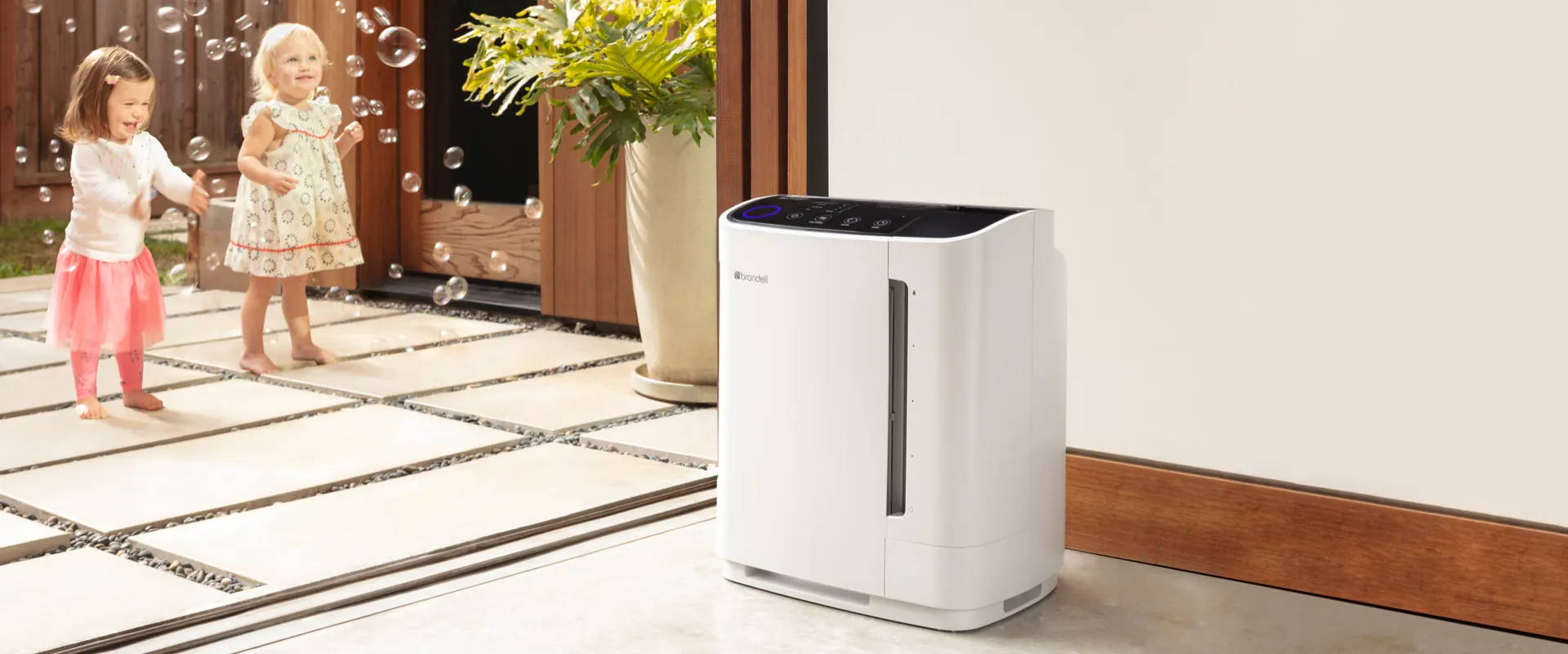 Indoor Air Quality Solutions